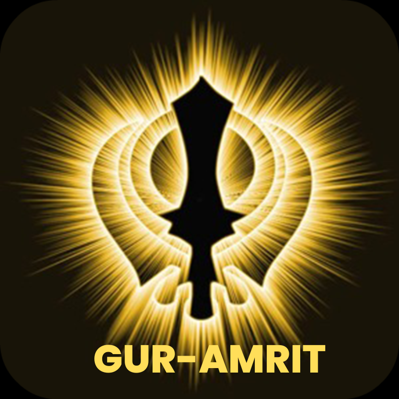 guramrit.in